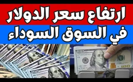 هيعدي الـ 50 ولا لأ؟ اعرف سعر الدولار اليوم في السوق السوداء الاثنين 5 أغسطس 2024 مقابل الجنيه المصري