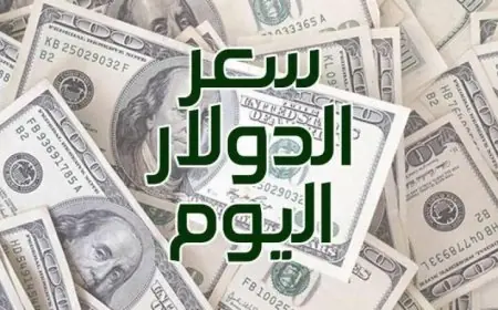 مفاجأة! سعر الدولار اليوم في السوق السوداء النهاردة 1 يناير 2024 مقابل الجنيه المصري هل السعر ارتفع؟