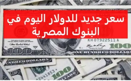 الجنيه ينهار امام الدولار.. سعر الدولار اليوم مقابل الجنيه المصري في السوق السوق السوداء الأثنين 5 أغسطس 2024