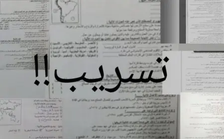 وزارة التربية والتعليم.. حقيقة تسريب امتحان اللغة العربية للثانوية العامة 2024 على التليجرام اليوم