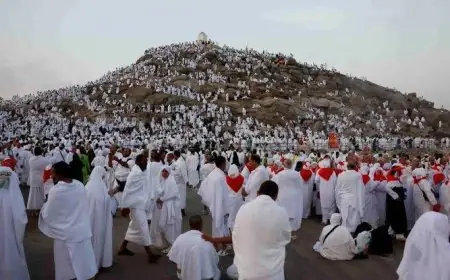 عاجل.. التحقيق في وفاة الحجاج المصريين وإحالة المسؤولين للنيابة العامة