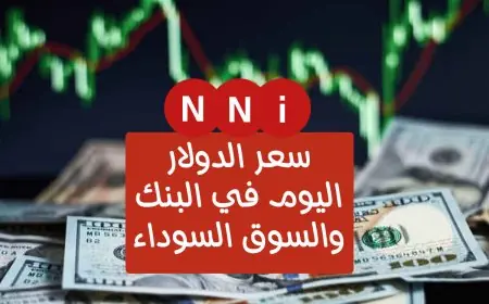 الأخضر بيولع.. سعر الدولار اليوم في السوق السوداء في مصر الخميس 18 يوليو 2024 مقابل الجنيه المصري