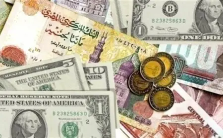 اسعار العملات اليوم فى السوق السوداء فى مصر الثلاثاء 6 اغسطس 2024 مقابل الجنيه المصري