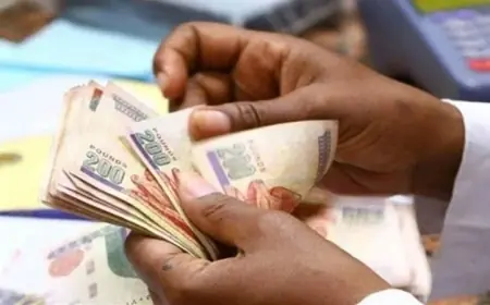 موعد صرف معاشات شهر يوليو 2024 وأماكن صرف المعاشات