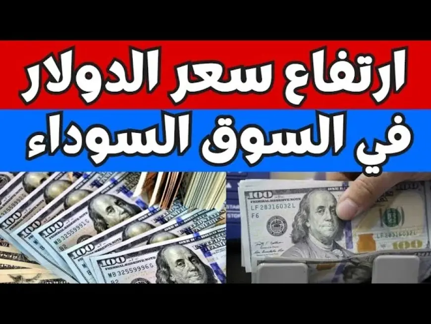 الامريكاني بكام؟.. سعر الدولار اليوم في السوق السوداء في مصر الجمعة 21 يونيو 2024 شائعات مستمرة