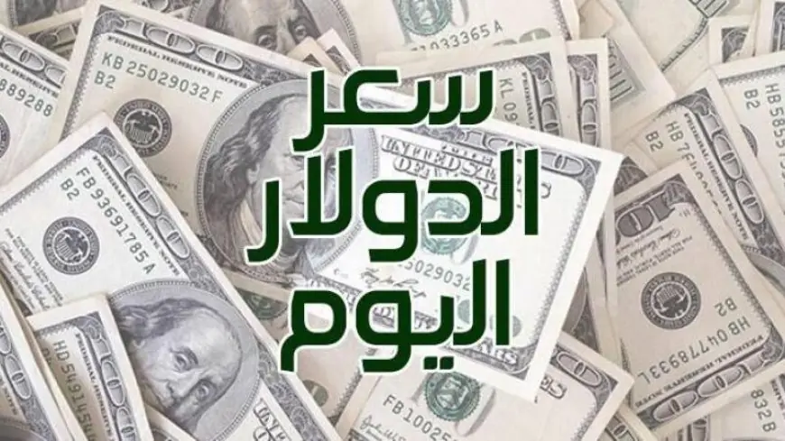 سعر الدولار اليوم في السوق السوداء مقابل الجنيه المصري الاحد 30 يونيو 2024 وداخل البنوك المصرية