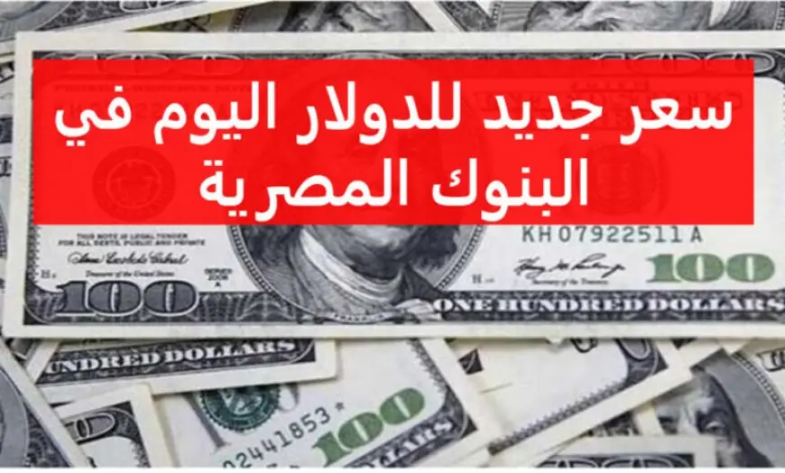 مش هتصدق.. اعلى سعر للدولار اليوم في السوق السوداء والبنوك اليوم السبت 13 يوليو 2024