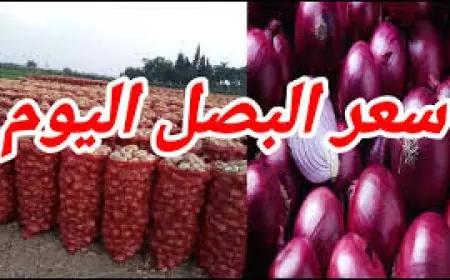 البصل الأحمر بكام النهارده؟.. أسعار البصل الأحمر الجديد اليوم الثلاثاء 9 يوليو 2024 في سوق العبور