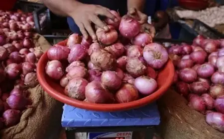 أسعار البصل الآن في سوق العبور والسوق المحلي للمستهلك الاربعاء 3 يوليو 2024