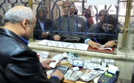 وزارة التضامن الاجتماعي.. موعد صرف معاشات شهر أغسطس 2024 بالزيادة عبر موقع nosi.gov.eg.