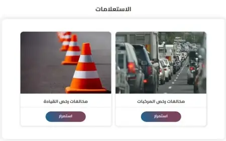 اعرف مخالفات عربيتك.. رابط ‎استعلام مخالفات المرور 2024 برقم السيارة موقع النيابة العامة ppo.gov.eg