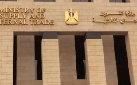 دلوقتي تقدر تضيف أولادك.. وزارة التموين تعلن طريقة اضافة المواليد على بطاقة التموين والأوراق المطلوبة