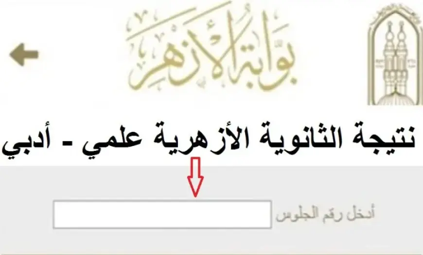 بوابة الأزهر الإلكترونية.. نتيجة الثانوية الأزهرية 2024 للشعبتين العلمية والأدبية عبر موقع  azhar.eg