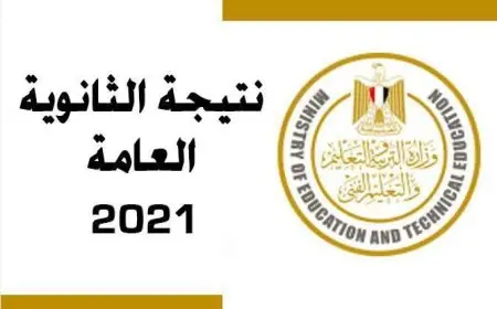 موقع الدستور ينشر.. نتيجة الثانوية العامة 2024 برقم الجلوس وخطوات استخراج النتيجة عبر الموقع الرسمي