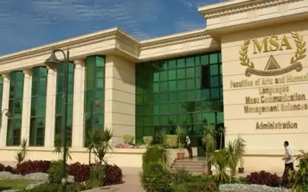 مصروفات الجامعات الخاصة 2024..  مصاريف جامعة MSA 2025 تصل الى 286 ألف جنيه بزيادة 10%
