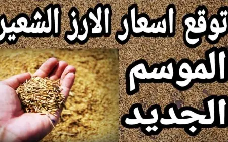 الأرز الشعير بكام النهاردة؟.. اسعار الارز الشعير اليوم الاربعاء 14 اغسطس 2024 في الاسواق واخر اسعار السلع التموينية في مصر