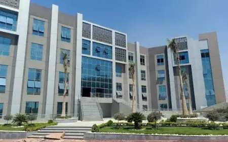 عايز تعرف قبل الدراسة؟ مصاريف جامعة مايو 2024 والمستندات اللي محتاجها