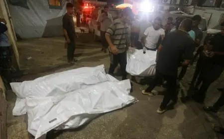 فلسطين تدين ارتكاب الاحتلال مجزرة مدرسة التابعين