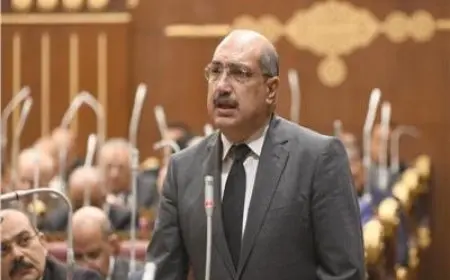 النائب إيهاب وهبة: زيارة السيسي لتركيا تحقق مكاسب اقتصادية بين البلدين