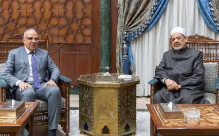 شيخ الأزهر: هناك فجوة بين التشريعات الإسلامية المتعلقة بترشيد المياه وبين سلوك بعض المسلمين