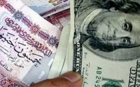 سعر الدولار يتراجع في 9 بنوك مع نهاية تعاملات اليوم الأربعاء