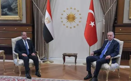 زيارات وتعاون متبادل.. كيف عادت العلاقات بين مصر وتركيا بعد 12 عاما؟‬