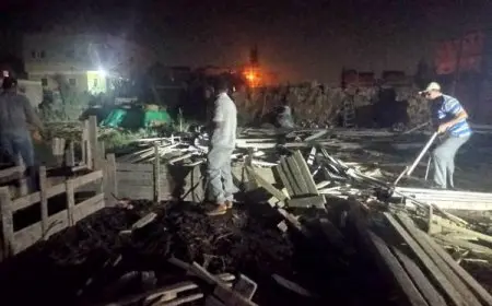 كفر الشيخ: إزالة حالة تعدي على أرض زراعية