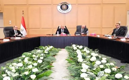 الصناعة: عدم منح تراخيص بناء جديدة بمنطقتين في بني سويف إلا بعد تخطيط وترفيق المنطقتين