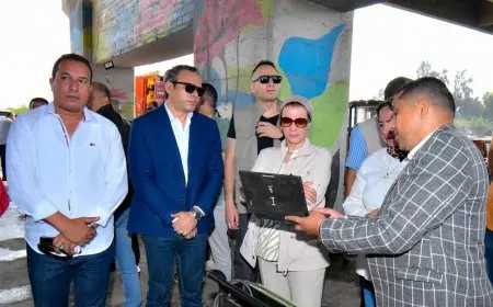 وزيرة البيئة تشيد بجهود محافظ الشرقية للتعامل مع منظومة السحابة السوداء