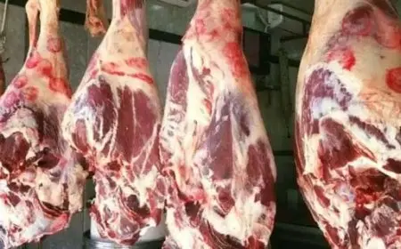 ارتفاع أسعار اللحوم والجبن والسكر وانخفاض العدس اليوم الجمعة بالأسواق (موقع رسمي)