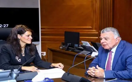 المشاط»: تعظيم العائد على الأصول المملوكة للدولة وتحسين بيئة الأعمال لتعزيز تنافسية الاقتصاد