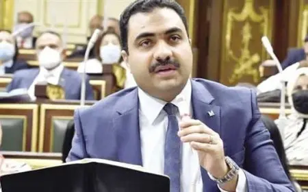 برلمانى يسأل الحكومة عن أسباب غلاء اللحوم رغم تراجع أسعار الأعلاف