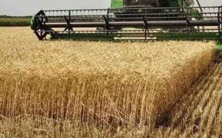 عادل زيدان: القطاع الزراعي أول قطاع محلي يوفر فرص عمل للشباب