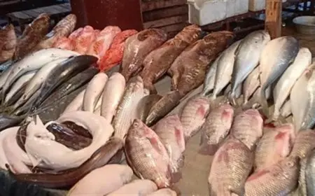 أسعار السمك والمأكولات البحرية اليوم السبت في سوق العبور