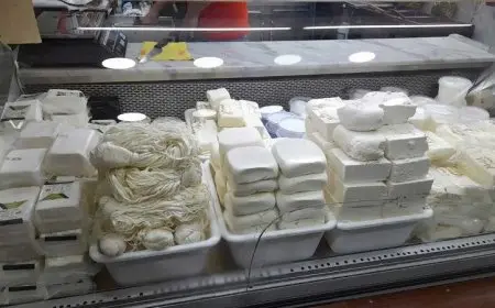 انخفاض ملحوظ في أسعار الألبان.. الجبنة البيضاء تهبط 12 جنيهًا