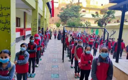 100 جنيه في الحصة.. التعليم تحدد قواعد مجموعات التقوية بالمدارس وضوابط الاشتراك