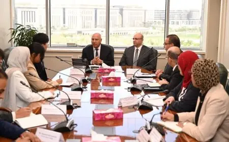 الصناعة: وقف منح تراخيص جديدة في منطقتي بياض العرب وكوم أبو راضي الصناعية