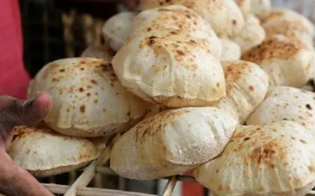 مجلس الوزراء: التعامل مع 1489 شكوى من التلاعب في وزن الخبز المدعم وارتفاع أسعار بعض المواد الغذائية