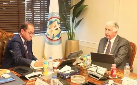 وزير المالية: ندرس إصدار سندات خضراء وصكوك محلية