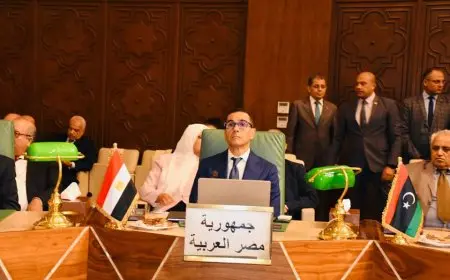 وزير الاستثمار يترأس الوفد المصري خلال اجتماعات المجلس الاقتصادي بجامعة الدول العربية
