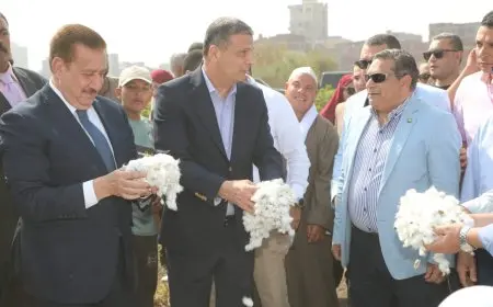 بالمزمار والطبل البلدي.. المزارعون يستقبلون وزير الزراعة لإفتتاح موسم جني القطن