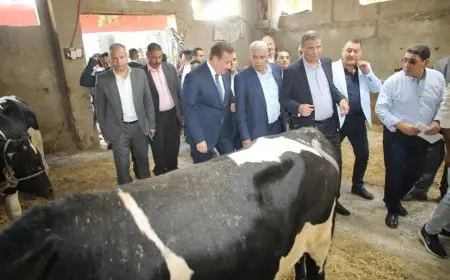 وزير الزراعة يتفقد مشروع تسمين العجول بالمنوفية
