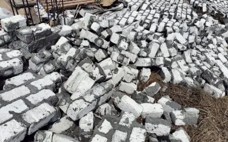 كفرالشيخ: إزالة حالتين تعدي على الأراضي الزراعية