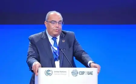 محمود محيي الدين: اقتراح بإصدار البنوك شهادات لكل تلميذ لتحفيز ثقافة الادخار