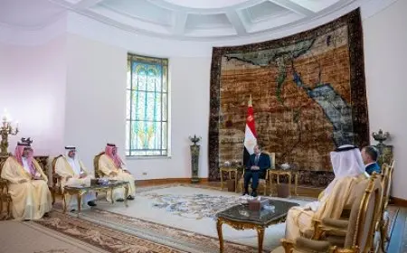 وزير الداخلية السعودي ينقل للرئيس السيسي تحيات خادم الحرمين الشريفين وولي عهده