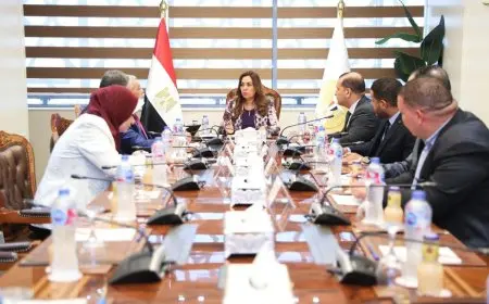 وزيرة التنمية المحلية تتابع خطة تطوير ورفع كفاءة المجازر الحكومية بالمحافظات