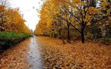 موعد بداية فصل الخريف رسميا.. الصيف بيودع