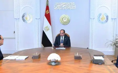 السيسي يوجه بتوفير التسهيلات اللازمة لزيادة معدلات الاستثمار وتشجيع القطاع الخاص والأجنبي
