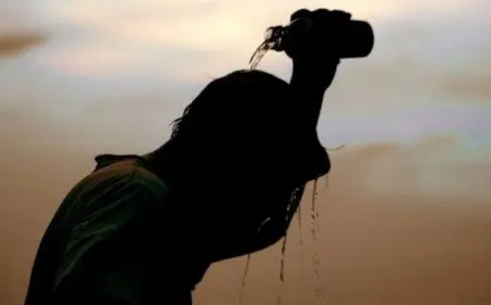 حالة الطقس غدا الإثنين ودرجات الحرارة المتوقعة.. مفاجأة من الأرصاد