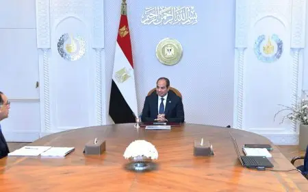 الرئيس السيسي يوجه بتوفير التسهيلات اللازمة لزيادة الاستثمار وتشجيع القطاع الخاص